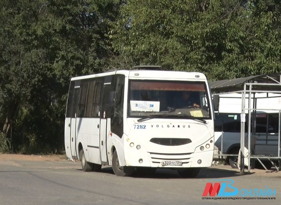 Из Камышина в Волгоград будут ездить только частные перевозчики