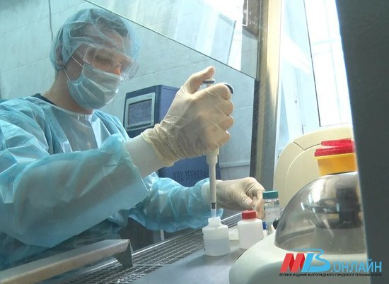 В России начались клинические испытания вакцины от коронавируса