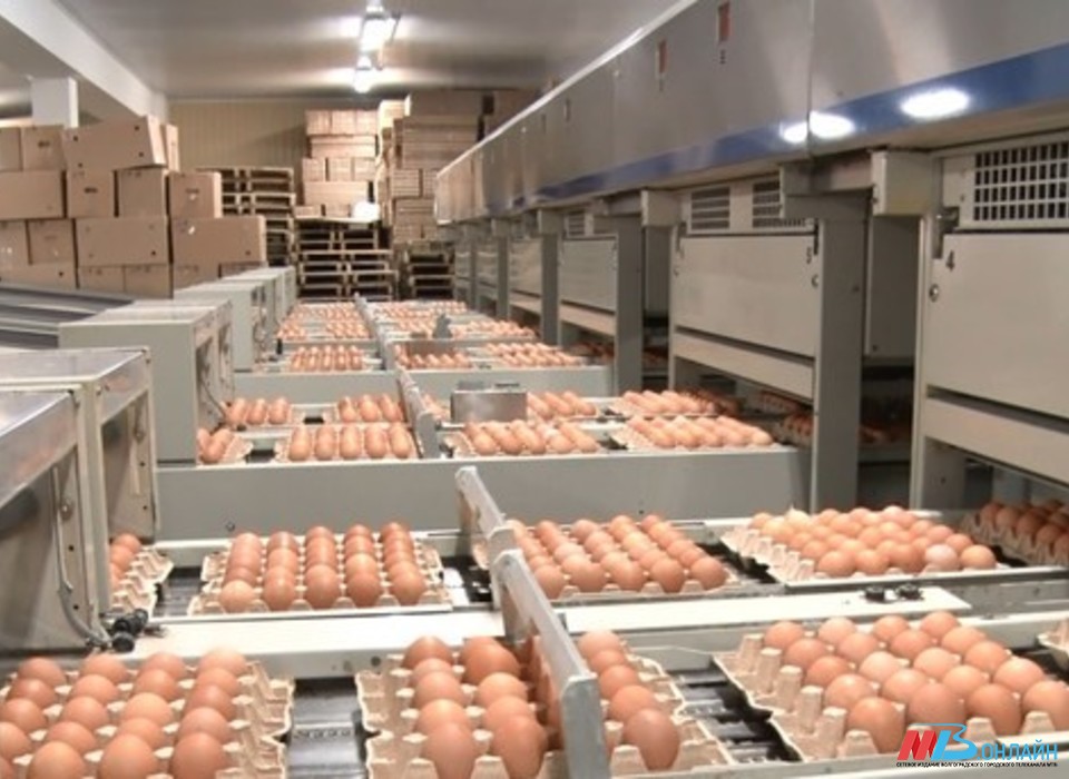 В магазинах Волгоградской области выросли цены на яйца и рис