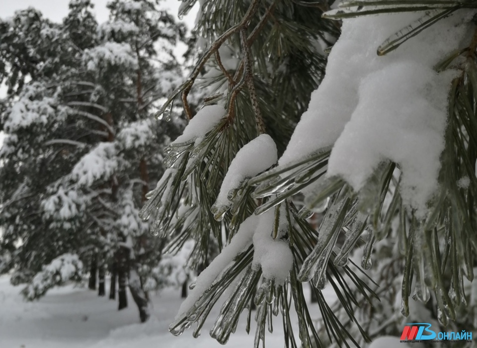 В Волгоградской области 15 декабря ожидаются снег, метель и мороз до -12º