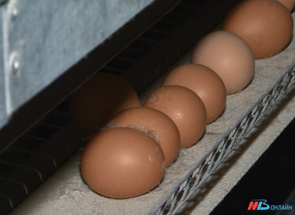 В Волгограде стремительно падают цены на яйца