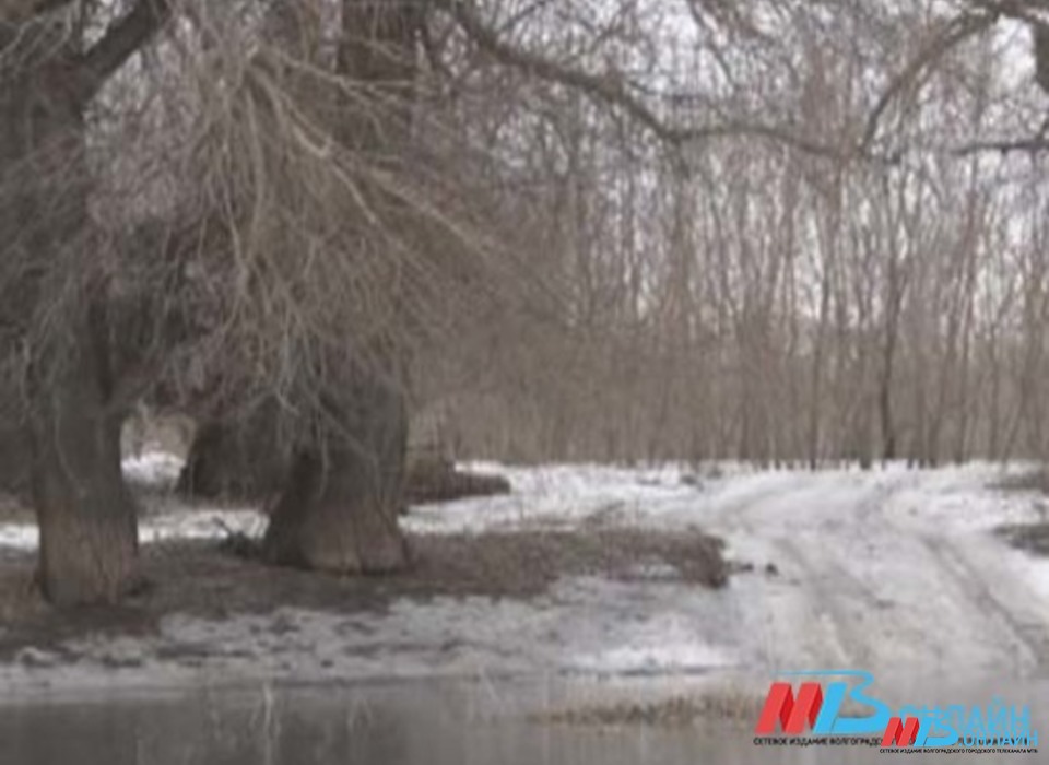Дождь при +9 ожидается в Волгоградской области 12 февраля
