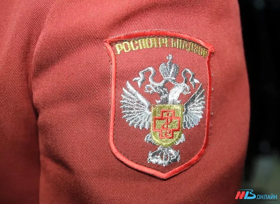 В Волгоградской области зафиксировали первый в 2024 году случай нападения клеща