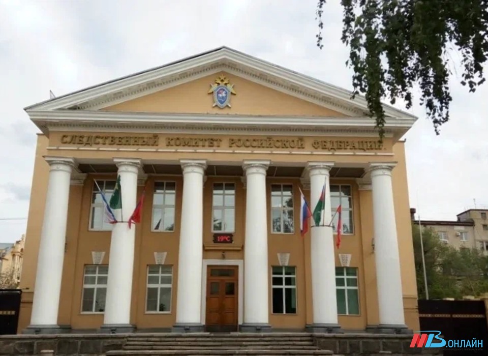 Бастрыкин поручил волгоградскому СК отчитаться по проверке избиения девочки сверстницами