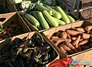 Волгоградские аграрии отправили 50 тонн овощей в помощь жителям Кременского района ЛНР